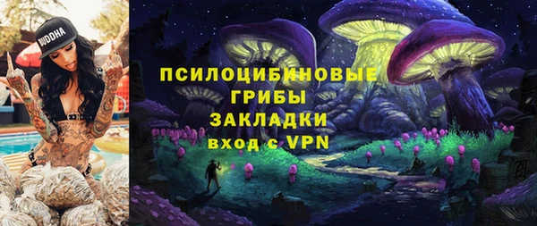 а пвп мука Бородино