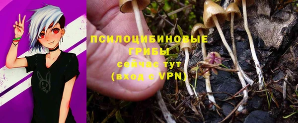 а пвп мука Бородино
