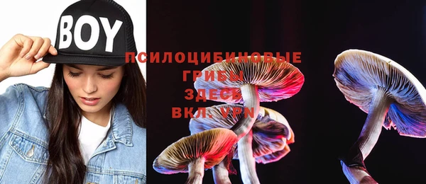 метадон Верея